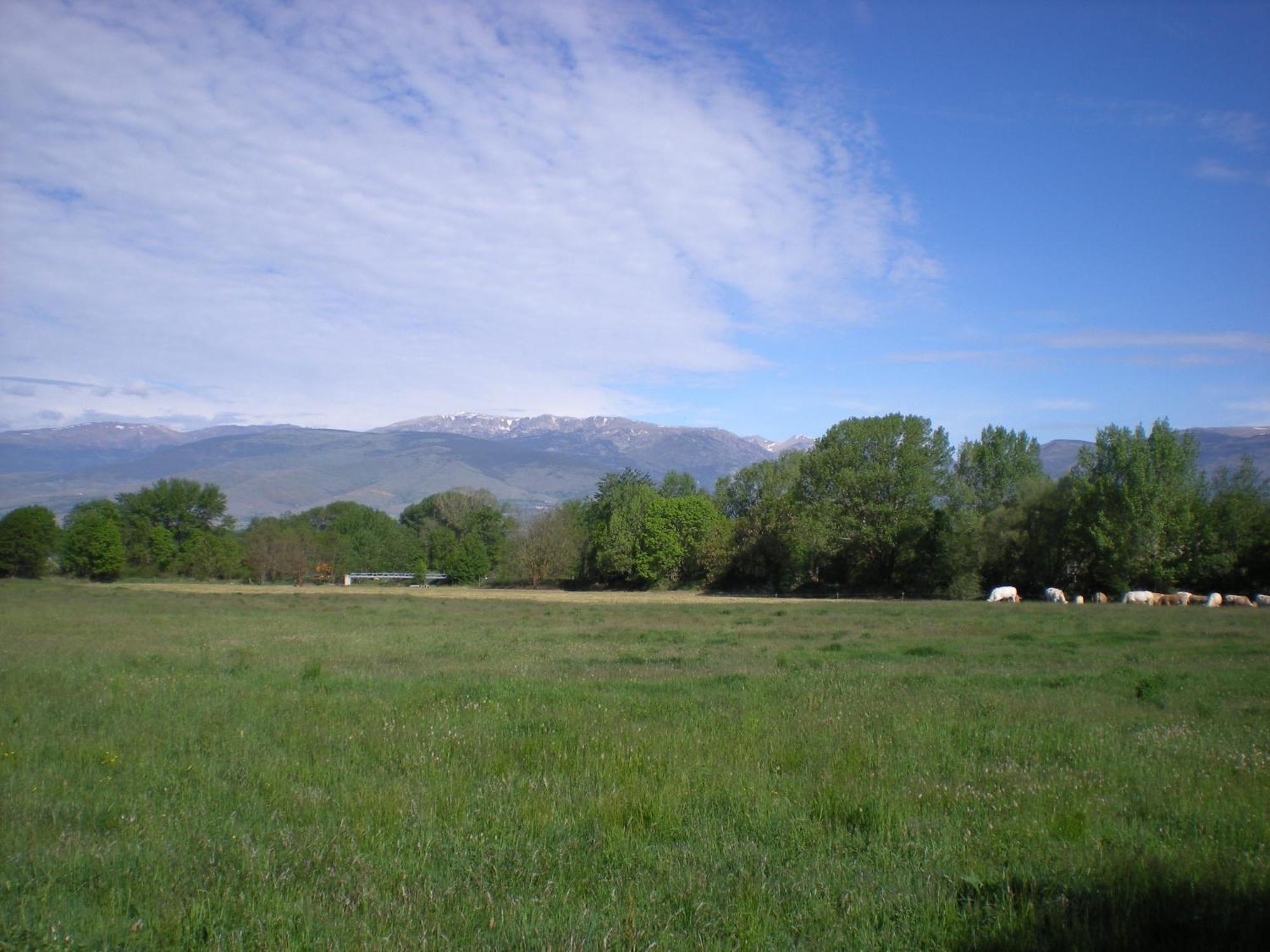 Camping Las Asperas*** Palau-de-Cerdagne Exteriör bild